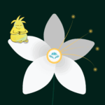 CGIAR Mental Health Month 2025